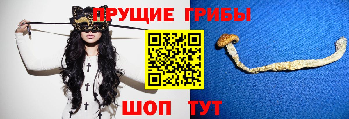 Электрогорск  Псилоцибиновые грибы прущие грибы  Вход с VPN 